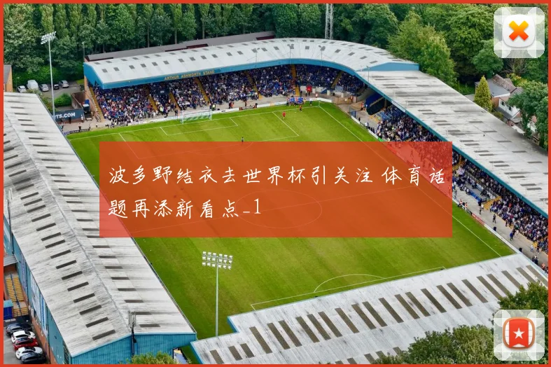 波多野结衣去世界杯引关注 体育话题再添新看点_1