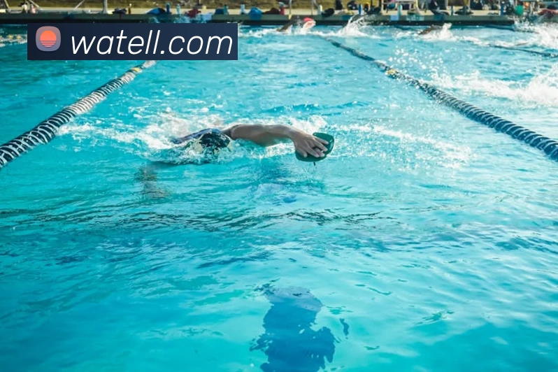 平台展示图